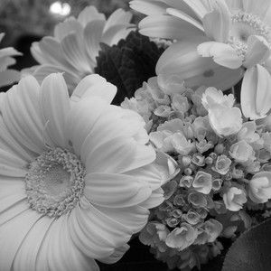 Meet your Posher, Terri